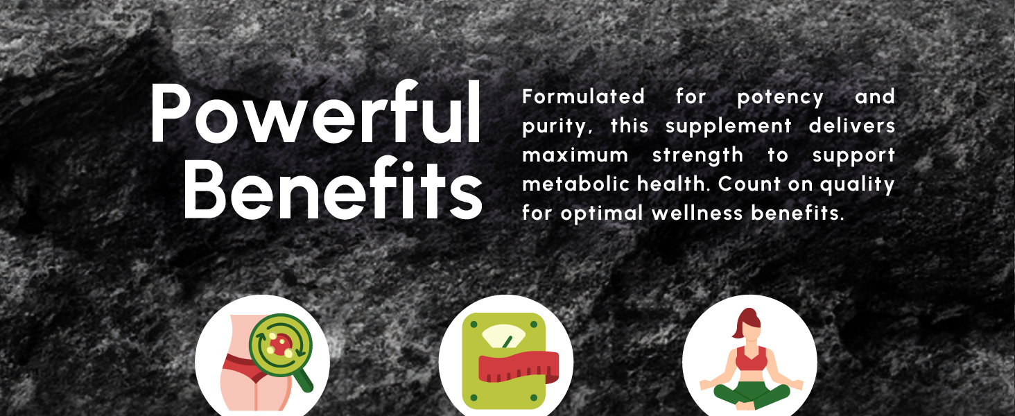 Berberine Supplement 1300mg per Serving- 97% Tested Ultra High Potency Berberine HCl with Ceylon Cinnamon, Bitter Melon & Gymnema, 10:1 Extract Berberis Supplements, Weight Management, 90 Veggie Caps ForestLeaf berberine botanical complex metabolic balance weight management supplement