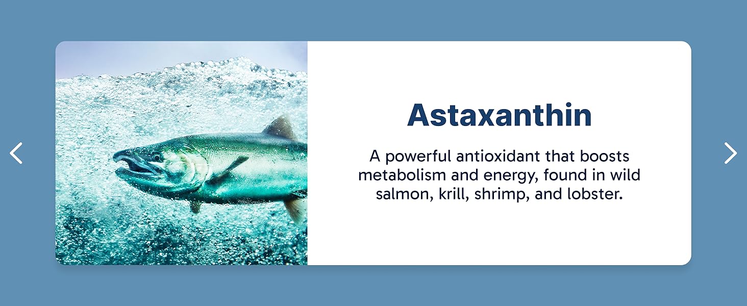 K9 Slim Dog Weight Loss Supplement, Natural Weight Management Dog Food Topper for Less Cravings, More Fat Burning and Energy, 2.14 oz Bag Astaxanthin