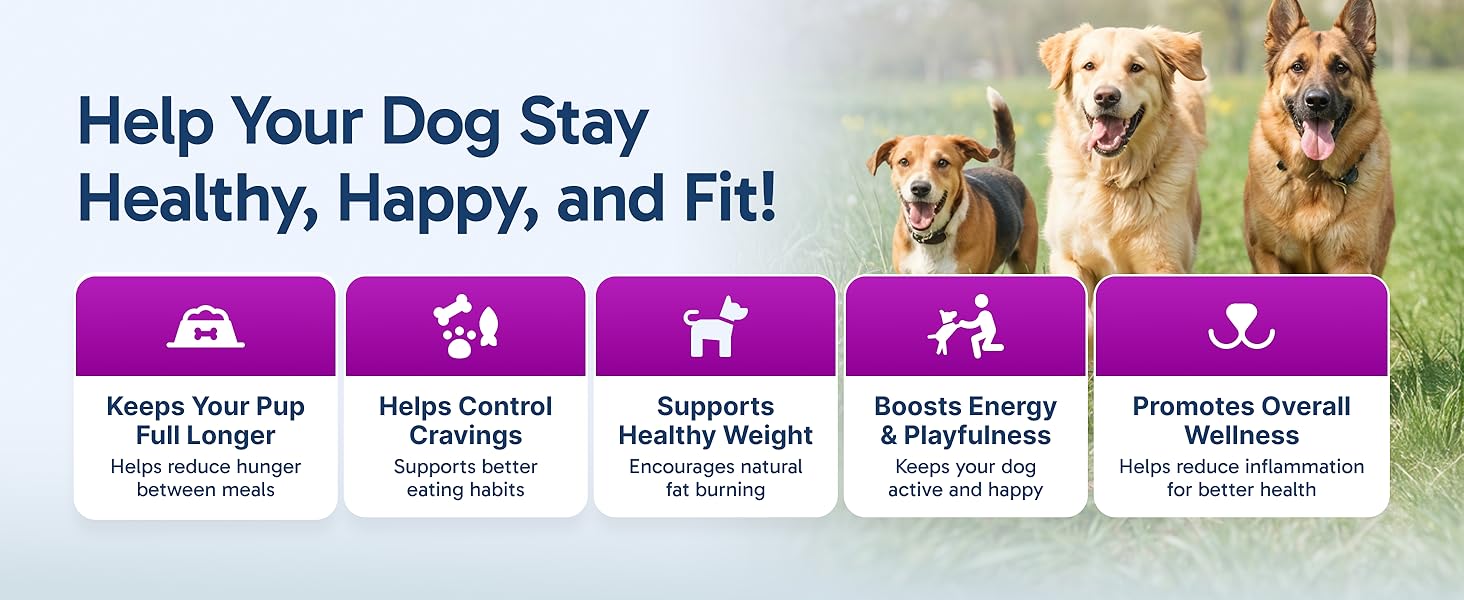 K9 Slim Dog Weight Loss Supplement, Natural Weight Management Dog Food Topper for Less Cravings, More Fat Burning and Energy, 2.14 oz Bag weight loss dog supplement