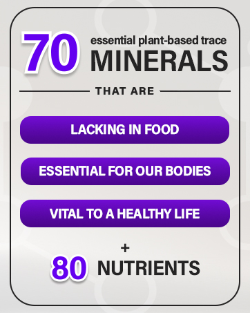 Immuno 150, Immune Support Supplement, Packed with 70 Plant Minerals, 13 Essential Vitamins and 68 Additional Nutrients-150 Vegetable Capsules- Immune Boost for All Age Groups Immuno 150