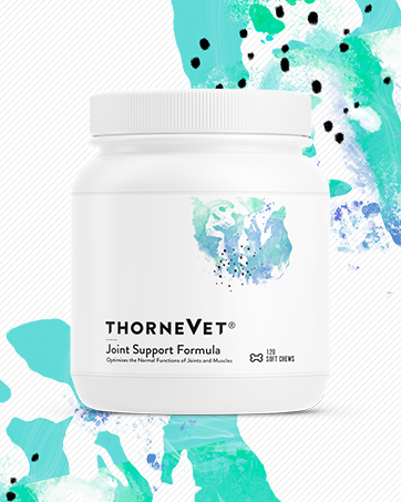 ThorneVET Heart Healthy Formula – Cardiovascular Support for Dogs & Cats, 90 Soft Chews dog joint support