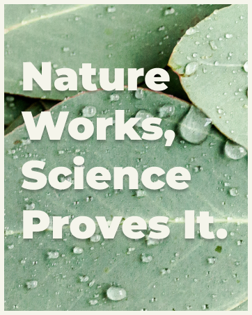 Metabolism - Weight Control Support & Energy Boosting Supplement - Natural Appetite Suppressant - Curbs Cravings - Green Tea, Coffee Bean, Chromium, Cacao & Theobromine - 70 Capsules nature works, science proves it Lifeseasons Supplements