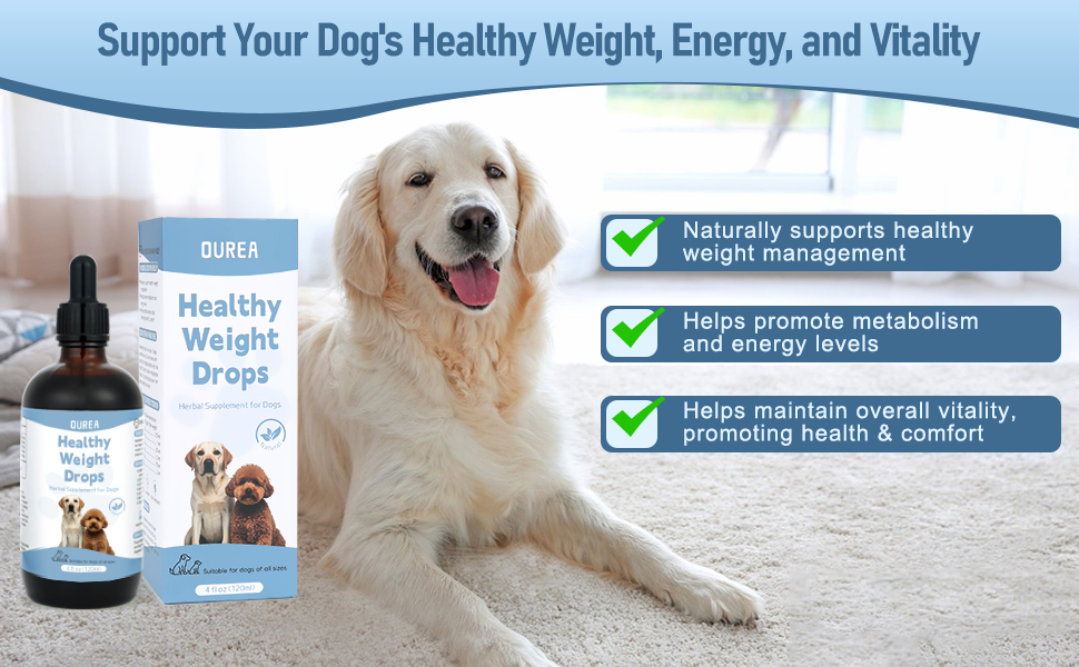 Weight Management Drops for Dogs, Effective Dog Weight Loss Drops, Healthy Weights Nutritional Supplement, Energy Metabolism Support, Weights Loss Pet Food, Natural Solution Hunger Control Supplements 1