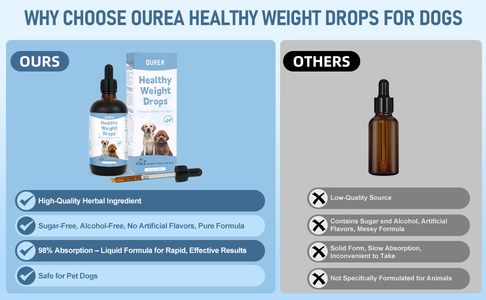 Weight Management Drops for Dogs, Effective Dog Weight Loss Drops, Healthy Weights Nutritional Supplement, Energy Metabolism Support, Weights Loss Pet Food, Natural Solution Hunger Control Supplements 1