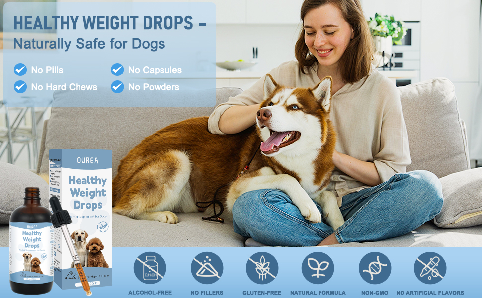 Weight Management Drops for Dogs, Effective Dog Weight Loss Drops, Healthy Weights Nutritional Supplement, Energy Metabolism Support, Weights Loss Pet Food, Natural Solution Hunger Control Supplements 1