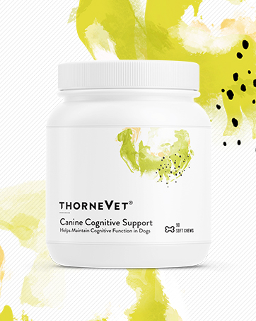 ThorneVET Heart Healthy Formula – Cardiovascular Support for Dogs & Cats, 90 Soft Chews cognitive support for dogs