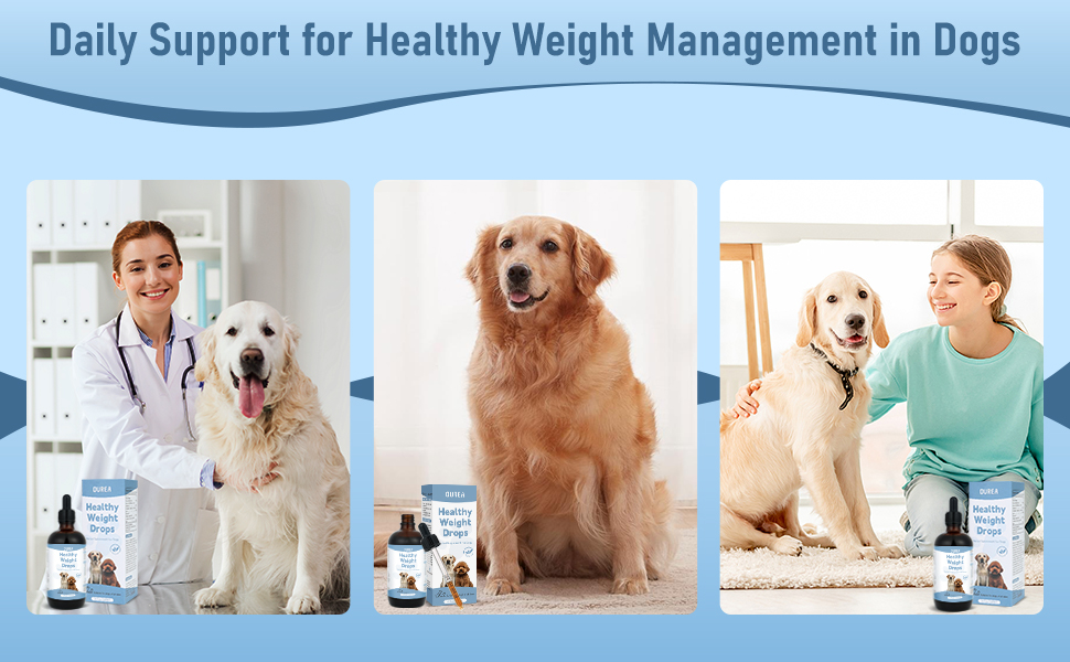 Weight Management Drops for Dogs, Effective Dog Weight Loss Drops, Healthy Weights Nutritional Supplement, Energy Metabolism Support, Weights Loss Pet Food, Natural Solution Hunger Control Supplements 1