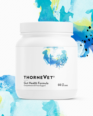 ThorneVET Heart Healthy Formula – Cardiovascular Support for Dogs & Cats, 90 Soft Chews digestive support for dogs