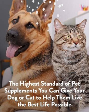 ThorneVET Heart Healthy Formula – Cardiovascular Support for Dogs & Cats, 90 Soft Chews supplements for cats