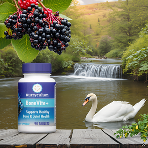 BoneVite+, Bone and Joint Health Supplement, 90 Tablets A wooden table with the product displayed alongside a glass of water and a green plant.