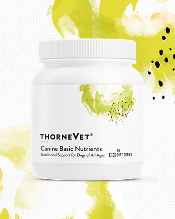 ThorneVET Heart Healthy Formula – Cardiovascular Support for Dogs & Cats, 90 Soft Chews nutritional support for dogs