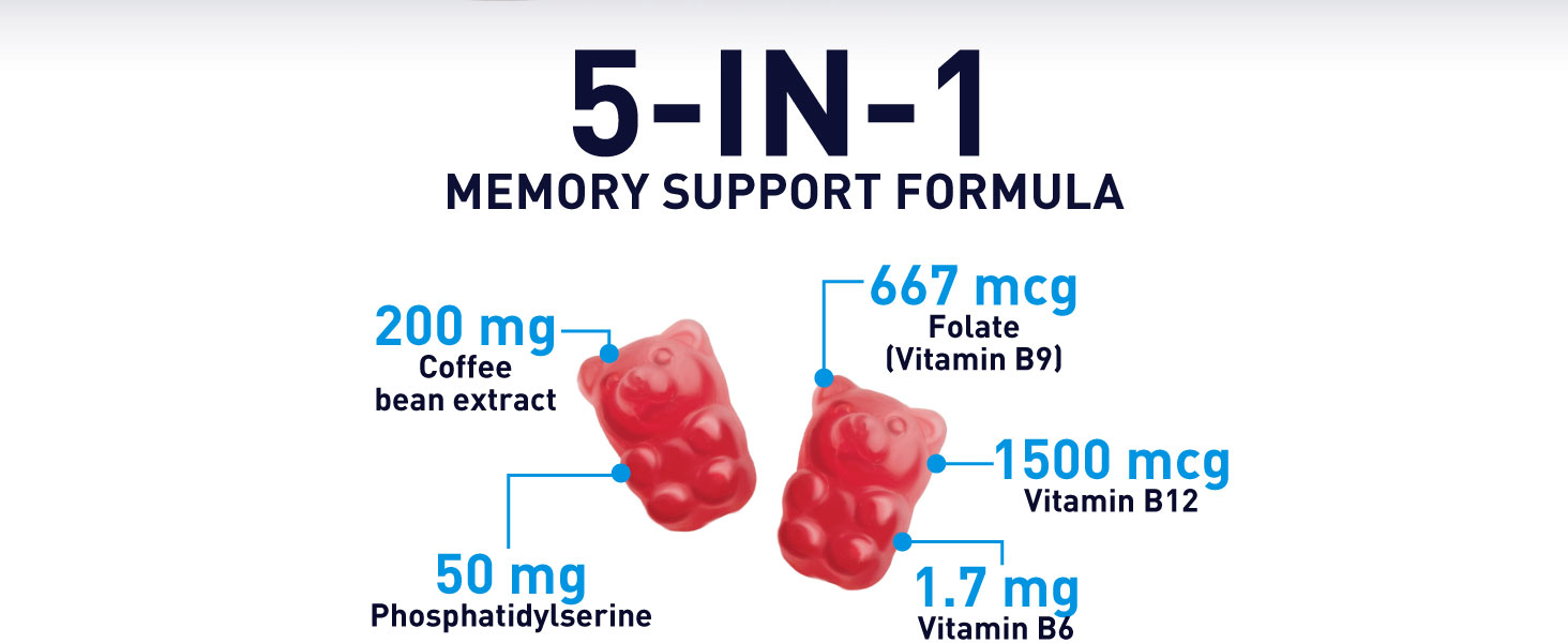 brain memory supplement with b6 b12 phosphatidylserine
