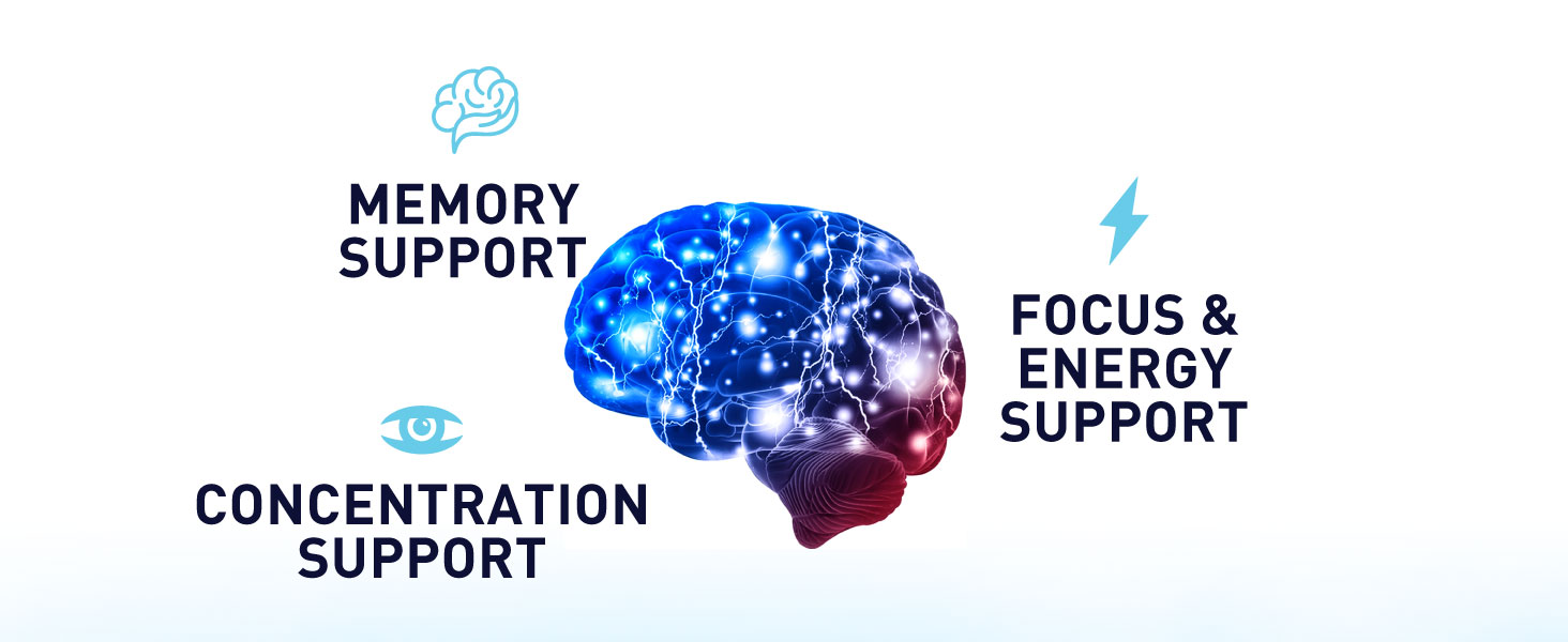 focus energy memory concentration support brain health