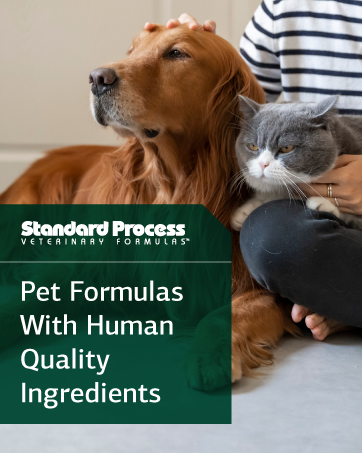 Standard Process Inc. Immuplex - Daily Immune Support Supplement with Folate, Iron, Vitamin C & Vitamin A - Mineral Supplement with Antioxidant Ingredients - 90 Capsules Pet Formulas With Human Quality Ingredients