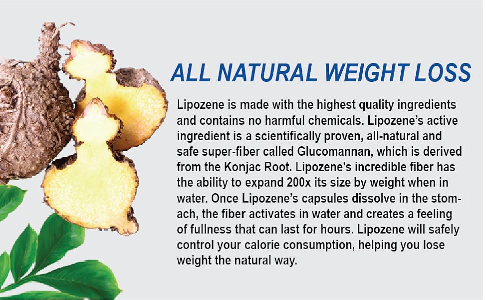 Lipozene® Diet Weight Loss Supplements - 1 Bottle 30 Capsules - x