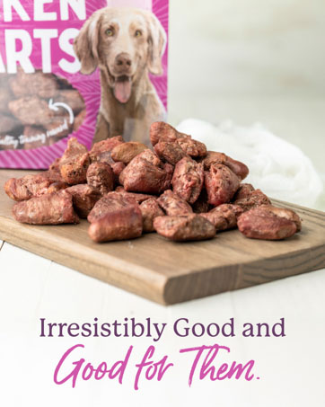 Dr. Harvey's Herbal Multi-Vitamin and Mineral Supplement for Dogs (7 Ounces) dog food natural clean ingredients nutrition pet cat perro comida treats supplements puppies