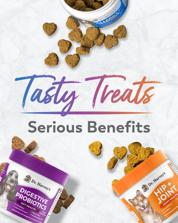 Dr. Harvey's Herbal Multi-Vitamin and Mineral Supplement for Dogs (7 Ounces) dog food natural clean ingredients nutrition pet cat perro comida treats supplements puppies