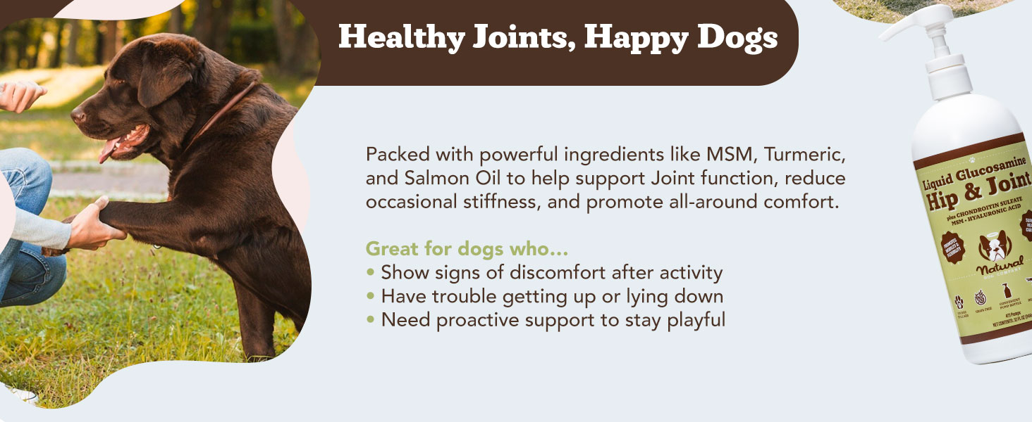 Natural Dog Company Hip & Joint Supplement for Dogs – Supports Mobility, Flexibility & Comfort, Glucosamine, Chondroitin, MSM & Turmeric, Chicken Flavor, 90 Count 2