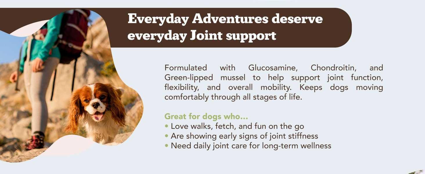 Natural Dog Company Hip & Joint Supplement for Dogs – Supports Mobility, Flexibility & Comfort, Glucosamine, Chondroitin, MSM & Turmeric, Chicken Flavor, 90 Count 2