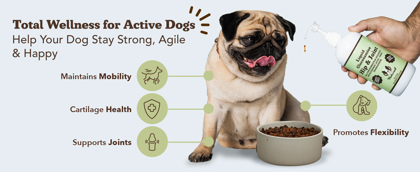 Natural Dog Company Hip & Joint Supplement for Dogs – Supports Mobility, Flexibility & Comfort, Glucosamine, Chondroitin, MSM & Turmeric, Chicken Flavor, 90 Count 3