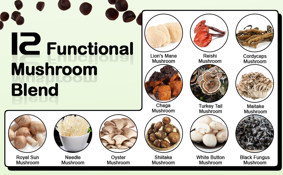Lions Mane Mushroom Supplement Gummies - 12 Organic Mushroom Blend with Cordyceps, Reishi, Chaga, Blueberry Flavor Herbal Brain Supplement for Energy & Health, Cognitive, Memory & Focus, 60 Gummies Lions Mane Mushroom Gummies Supplement Organic Mushroom blueberry Flavor Herbal Brain Supplement