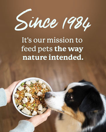 Dr. Harvey's Herbal Multi-Vitamin and Mineral Supplement for Dogs (7 Ounces) dog food natural clean ingredients nutrition pet cat perro comida treats supplements puppies