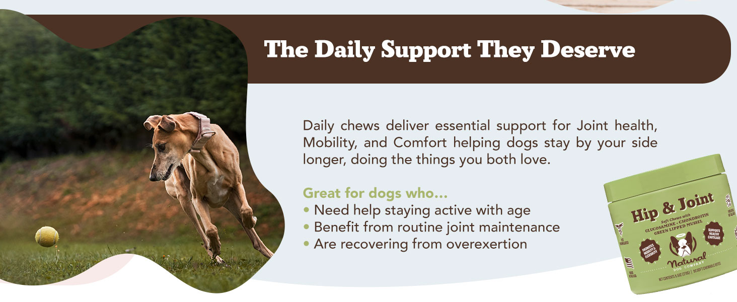 Natural Dog Company Hip & Joint Supplement for Dogs – Supports Mobility, Flexibility & Comfort, Glucosamine, Chondroitin, MSM & Turmeric, Chicken Flavor, 90 Count 2