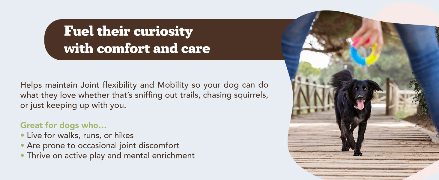 Natural Dog Company Hip & Joint Supplement for Dogs – Supports Mobility, Flexibility & Comfort, Glucosamine, Chondroitin, MSM & Turmeric, Chicken Flavor, 90 Count 2