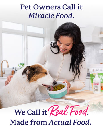 Dr. Harvey's Herbal Multi-Vitamin and Mineral Supplement for Dogs (7 Ounces) dog food natural clean ingredients nutrition pet cat perro comida treats supplements puppies