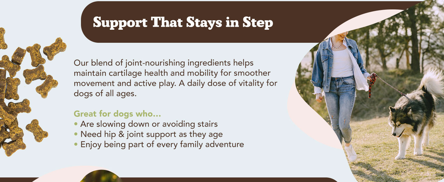 Natural Dog Company Hip & Joint Supplement for Dogs – Supports Mobility, Flexibility & Comfort, Glucosamine, Chondroitin, MSM & Turmeric, Chicken Flavor, 90 Count 2