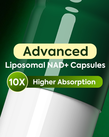 Nad+ Resveratrol Supplement 61800mg Per Bottle – Liposomal Nad+ Resveratrol for Women & Men – High Purity 1200mg Nad+ Supplement for Energy & Healthy Aging, Resveratrol, Quercetin, CoQ10 – 90 Counts resveratrol supplement