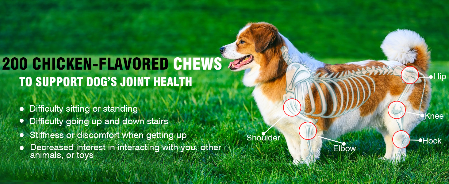 Glucosamine for Dogs 200pcs Joint Support Supplement Dog Hip and Joint Chondroitin Chews Treats with MSM Dog Joint Pain Relief Mobility Supplements Chicken Flavor Fit All Large Small Medium Breed joint supplements for dogs