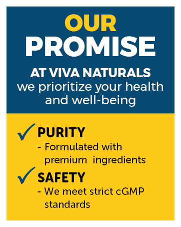 Viva Naturals Glucosamine Chondroitin MSM Joint Support Supplement, 90 Capsules - with Turmeric, Black Pepper, Boswellia and Hyaluronic Acid - Joint Health Supplement for Mobility and Flexibility brand story