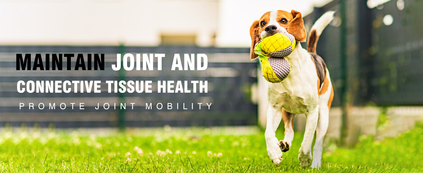 Glucosamine for Dogs 200pcs Joint Support Supplement Dog Hip and Joint Chondroitin Chews Treats with MSM Dog Joint Pain Relief Mobility Supplements Chicken Flavor Fit All Large Small Medium Breed hip and joint mobility
