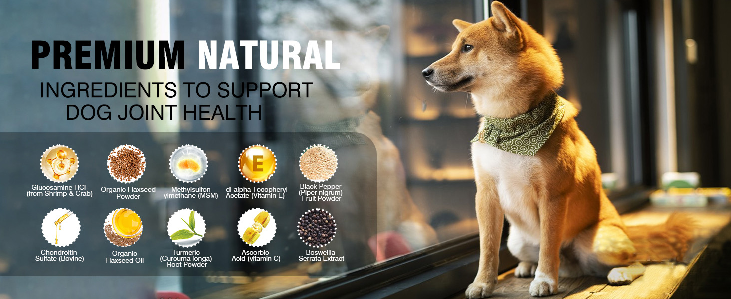 Glucosamine for Dogs 200pcs Joint Support Supplement Dog Hip and Joint Chondroitin Chews Treats with MSM Dog Joint Pain Relief Mobility Supplements Chicken Flavor Fit All Large Small Medium Breed Glucosamine for Dogs