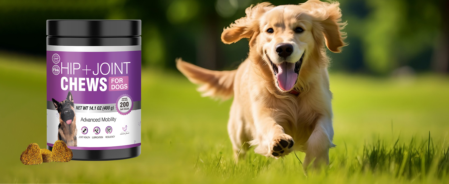 Glucosamine for Dogs 200pcs Joint Support Supplement Dog Hip and Joint Chondroitin Chews Treats with MSM Dog Joint Pain Relief Mobility Supplements Chicken Flavor Fit All Large Small Medium Breed glucosamine for dogs