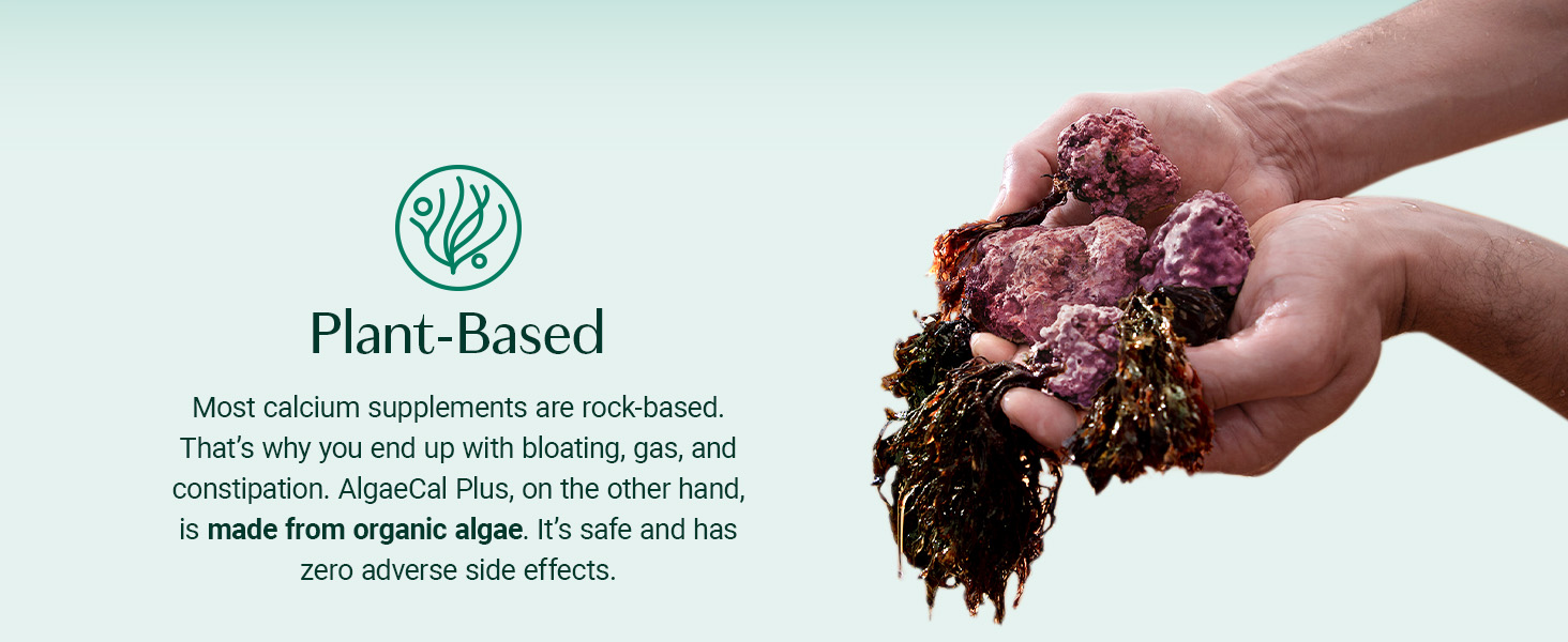 ALGAECAL Organic Red Algae Calcium Supplement for Bone Density, Vitamin K2 MK7 (100mg), Vitamin D3 (1600 IU), Magnesium (350mg) & Trace Minerals & Strength, Easy to Swallow, 120 Veggie Caps calcio para los huesos de mujer,algae calcium,algae cal plus,algea cal,algical,algacal,algae plus