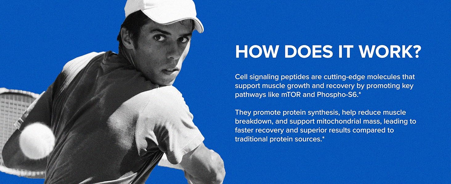 Designs for Sport Pro-Formance Peptides - Supports Muscle Growth & Recovery* - Athlete Formula to Support Peak Performance* - NSF Certified for Sport - 120 Vegetarian Capsules 3