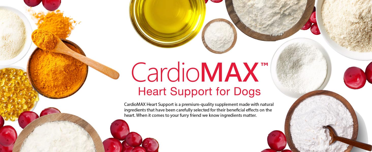 Heart Support Supplement for Dogs-Vet-Formulated, Antioxidant-Rich-L-Taurine, L-Carnitine,EPA,DHA,CoQ10-Aids Circulatory Strength, Cardiovascular Support, Heart Muscle Function-USA Made-60 Soft Chews