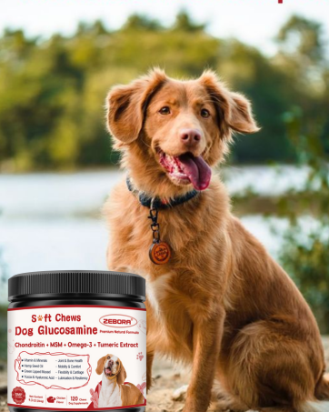 glucosamine for dogs