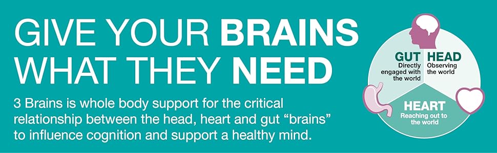 Natural Factors 3 Brains, Higher Thoughts, Support for Cognitive Health and Brain Function, Daily Dietary Supplement, 90 Softgels Give your brains what they need