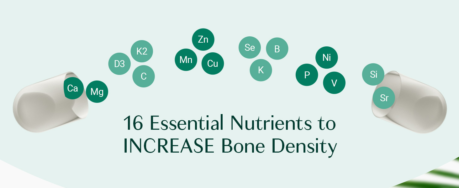 ALGAECAL Organic Red Algae Calcium Supplement for Bone Density, Vitamin K2 MK7 (100mg), Vitamin D3 (1600 IU), Magnesium (350mg) & Trace Minerals & Strength, Easy to Swallow, 120 Veggie Caps