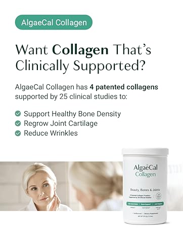 AlgaeCal - Bone Builder Pack for Bone Density Increase, Clinically Supported Plant Based Calcium Supplement & Strontium, Vitamins K2 (100mg), D3 (1600 IU), Magnesium & 16 Essential nutrients colageno hidrolizado for women,colageno,best collagen powder for women over 50,algae cal,algaecal
