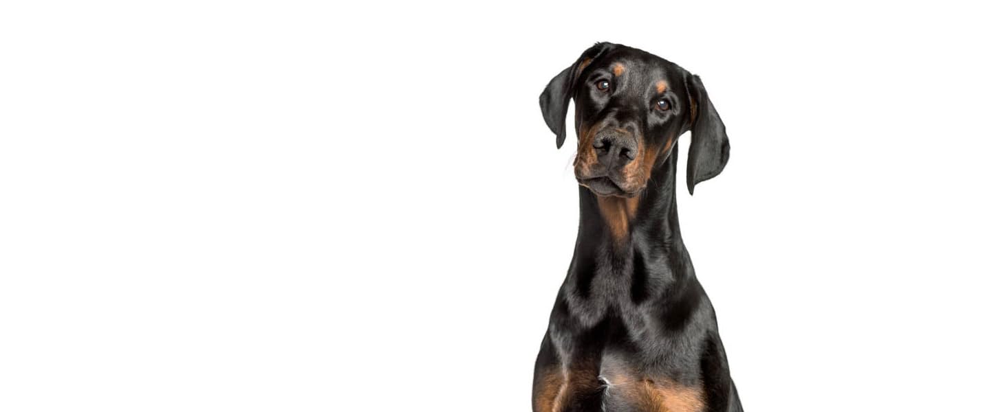 Heart Support Supplement for Dogs-Vet-Formulated, Antioxidant-Rich-L-Taurine, L-Carnitine,EPA,DHA,CoQ10-Aids Circulatory Strength, Cardiovascular Support, Heart Muscle Function-USA Made-60 Soft Chews Doberman