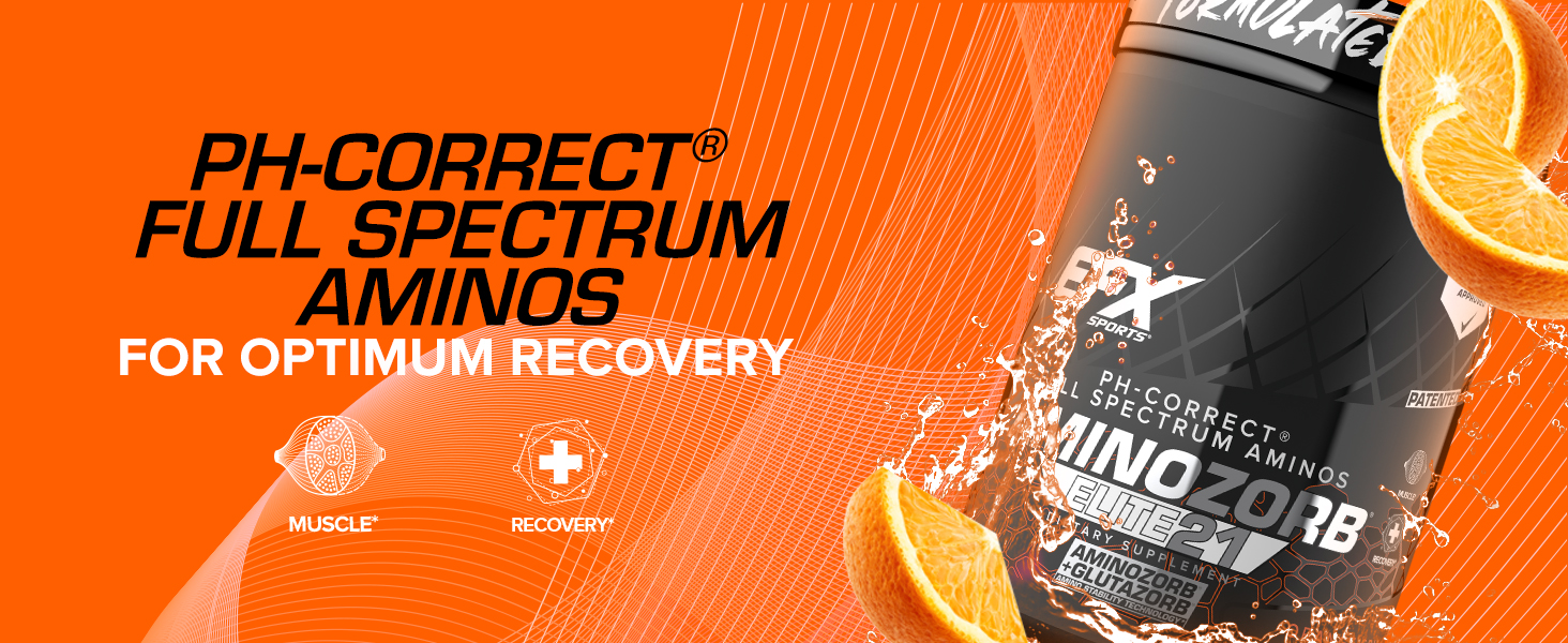 EFX Sports Aminozorb Elite 21 | PH-Correct, Full Spectrum Aminos + Glutamine | Essential & Non Essential Aminos | Zero Sugars | 30 Servings (Pink Bubblegum) Aminozorb