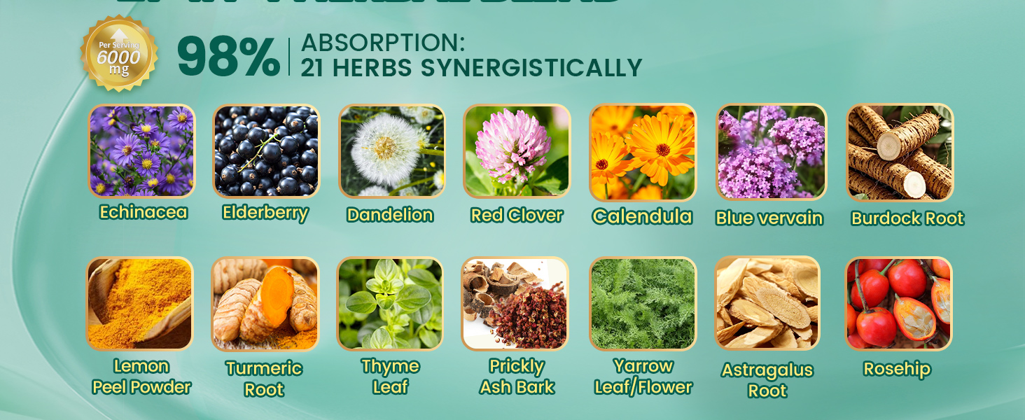 21-in-1 Lymphatic Drainage Drops for Liposomal, 6000mg Immune & Lymph System Support Supplement for Women & Men with Echinacea, Dandelion, Burdock, Bromelain, Calendula, Turmeric & More, 2 FL OZ lymphatic drainage drops lymphatic drainage supplements lymph system support lymphatic drainage