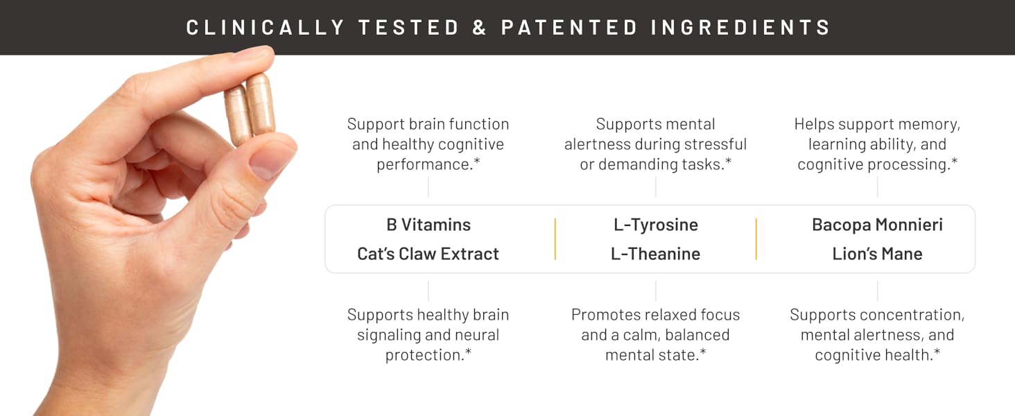 Nootrix Prime Brain Nootropic Supplement | Supports Memory, Mental Focus, Cognitive Health & Energy | Promotes Healthy Mood & Brain Function | Ginkgo Biloba, Lion's Mane & L Theanine | 60 Capsules 1