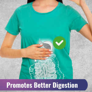 Keto Acv Gummies for Advanced Weight Loss & Belly Fat Burn - Pro Active Super Apple Cider Vinegar Gummies - Rapid Fat Burner Diet Supplement for Women Men - Sugar Free & Gluten Free (1000MG) happy men drops curb active burner leap natures natural gomitas para bajar peso product quick