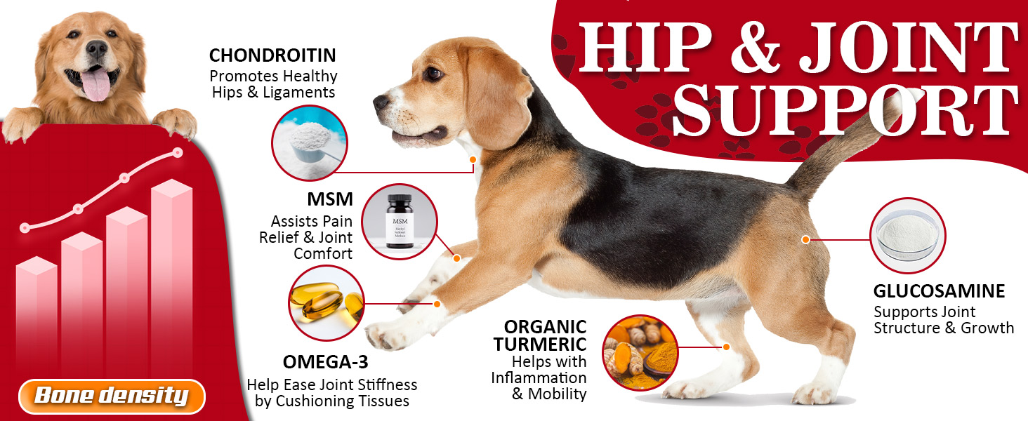 NATURE TARGET Glucosamine for Dogs, Joint Supplement with Chondroitin, MSM, Omega-3, Hemp for Pain Relief, Hip & Joint Chews for Dogs with Calcium for Bone Health, 120 Soft Chews hip & joint support