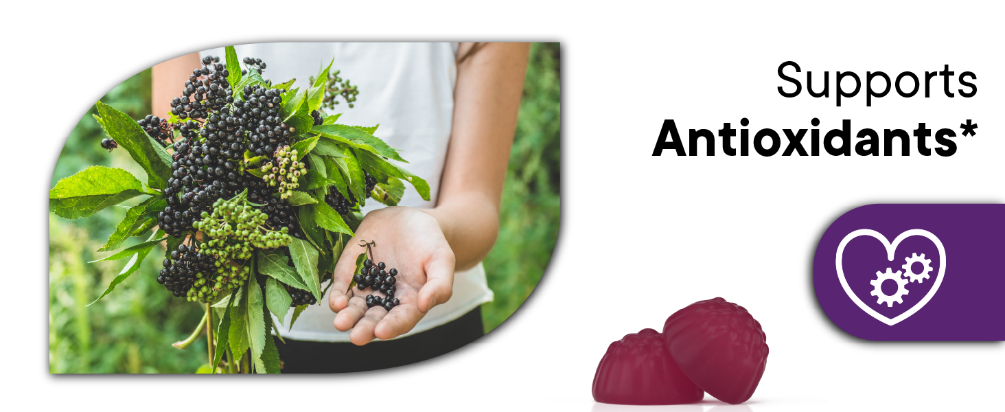 NEW AGE Immune System Support Gummies - Sambucus Black Elderberry Gummies with Vitamin C and Zinc (120 Count (Pack of 2)) immune support gummies elderberry zinc vitamin c health family antioxidants